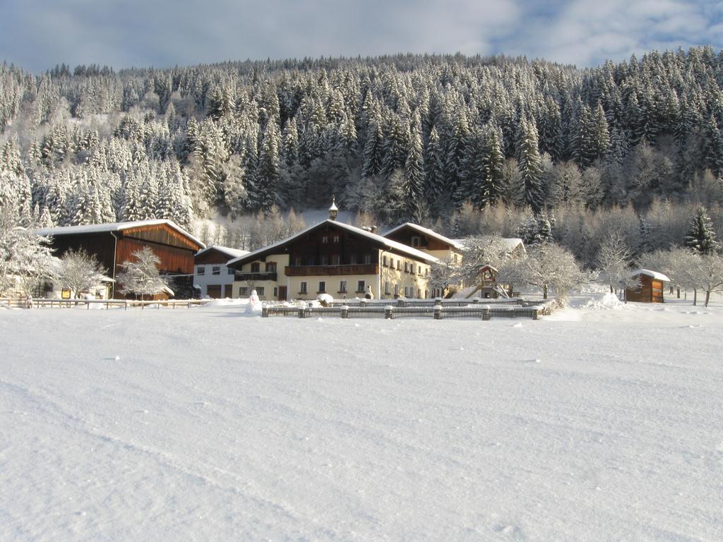 Bauernhofurlaub Sinnhubgut Альтенмаркт-ім-Понгау Екстер'єр фото